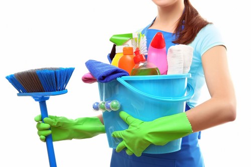 Upholstery cleaning equipment used on a fabric sofa