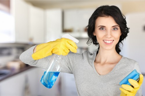 Deep rug cleaning process for Cricklewood properties