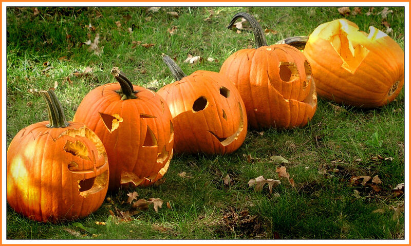 cleaning services eco-friendly